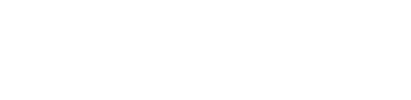 Corporate Network Support
